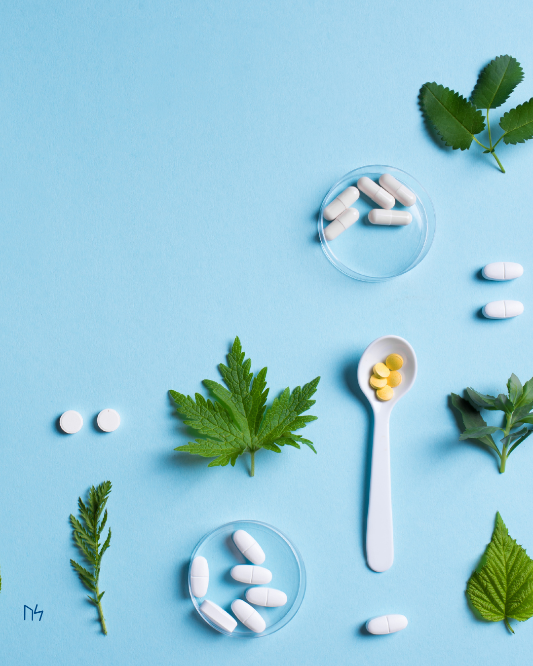 Single Herbs